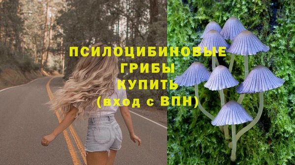 apvp Гусиноозёрск