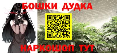 шишки Берёзовский