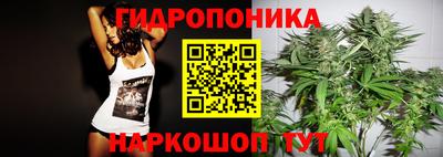 шишки Берёзовский