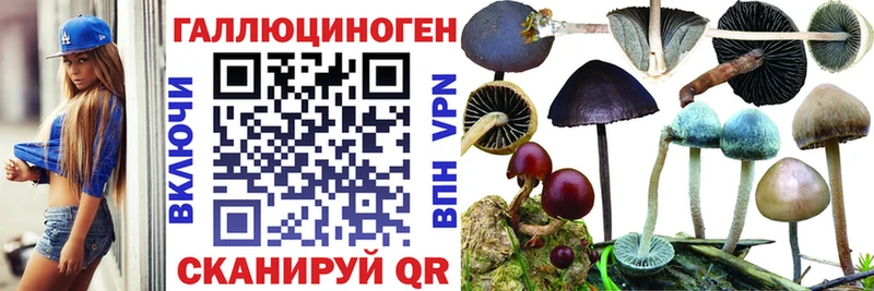 Галлюциногенные грибы ЛСД  Братск 