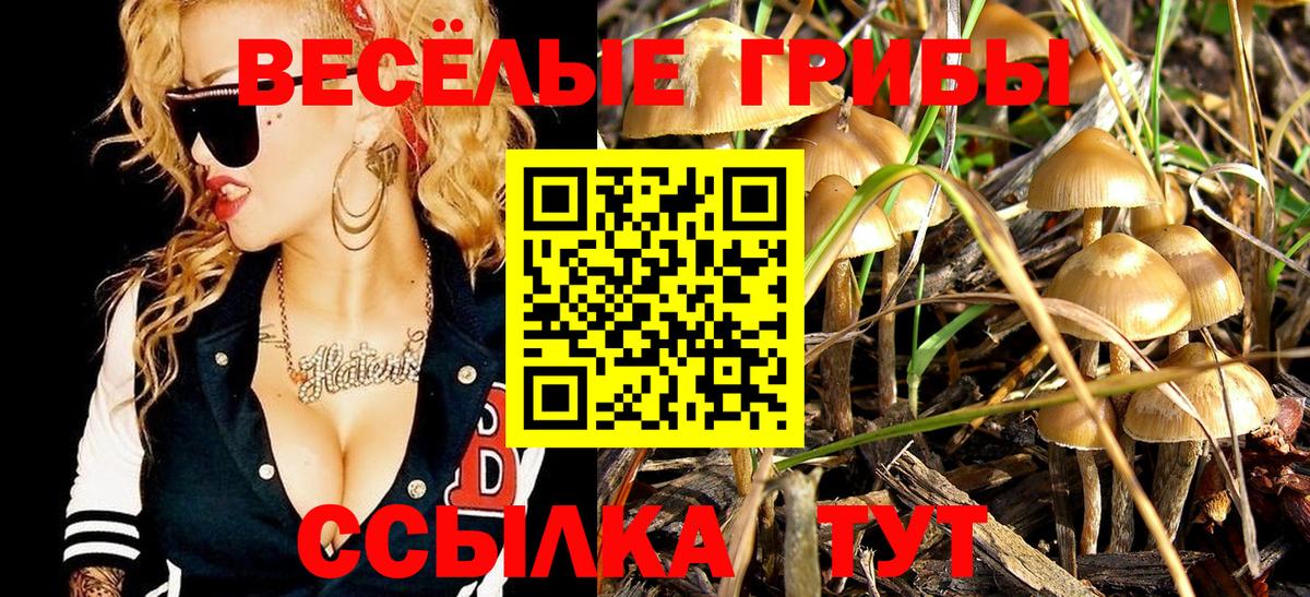 Псилоцибиновые грибы мухоморы  Вход с VPN  Братск 