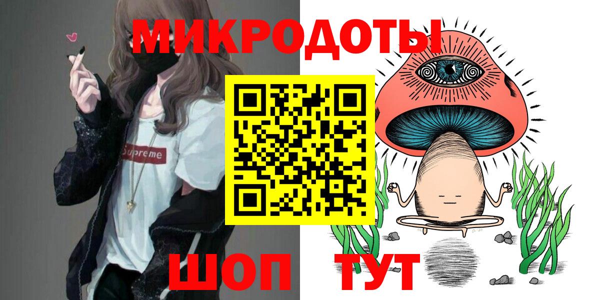 Псилоцибиновые грибы Psilocybine cubensis Братск
