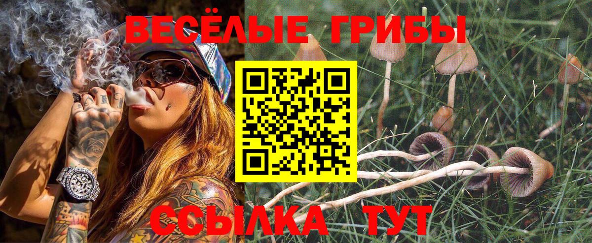 Галлюциногенные грибы ЛСД  Братск 