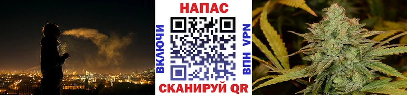 Бошки марихуана план  Братск 
